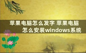 苹果电脑怎么发字 苹果电脑怎么安装windows系统